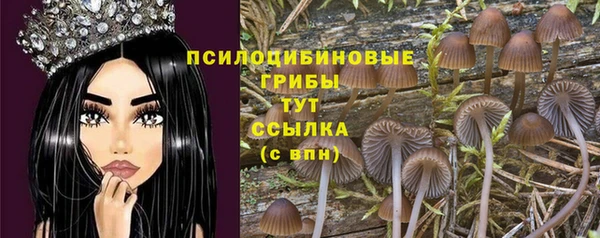 первитин Верея