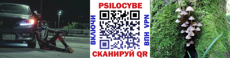 купить закладку  Новохопёрск  Псилоцибиновые грибы мицелий 
